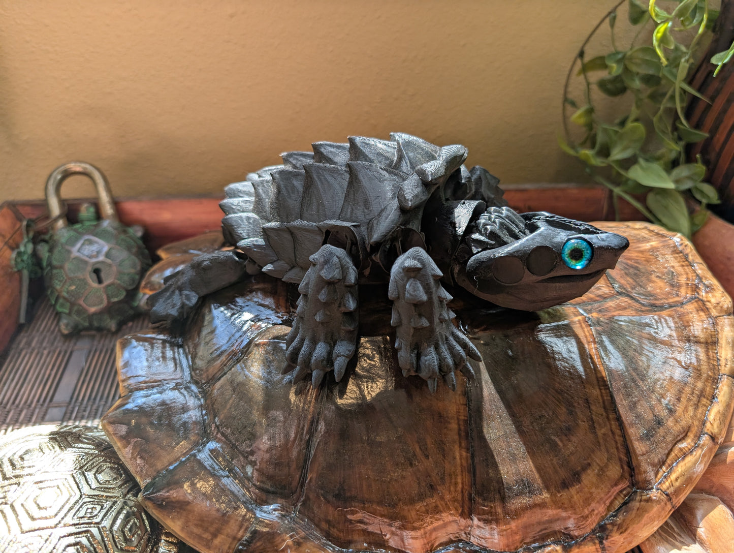 Full Size Blank Magnetic Tortle